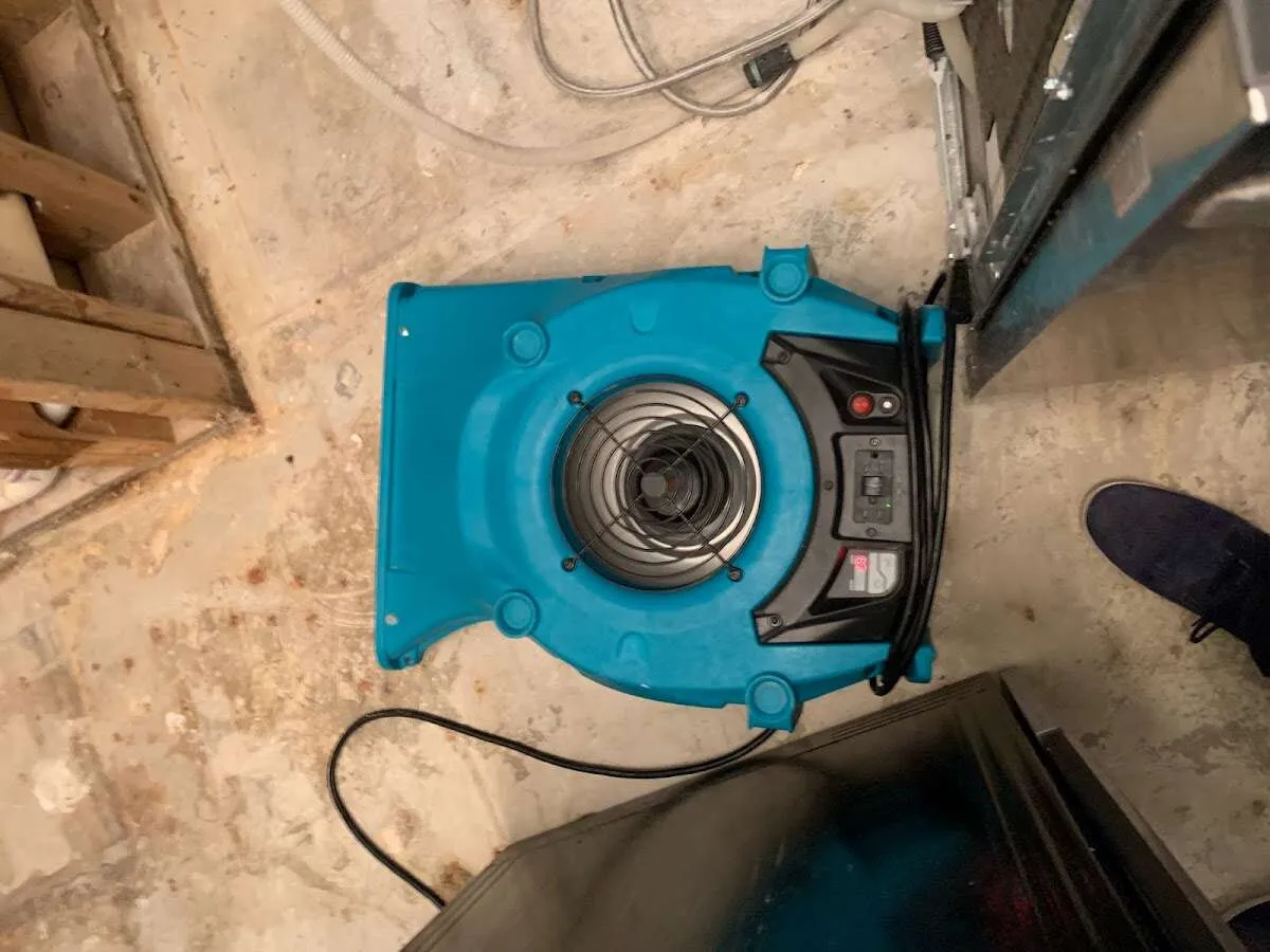 Air mover drying equipment for Mold Remediation & Removal in Vermilion