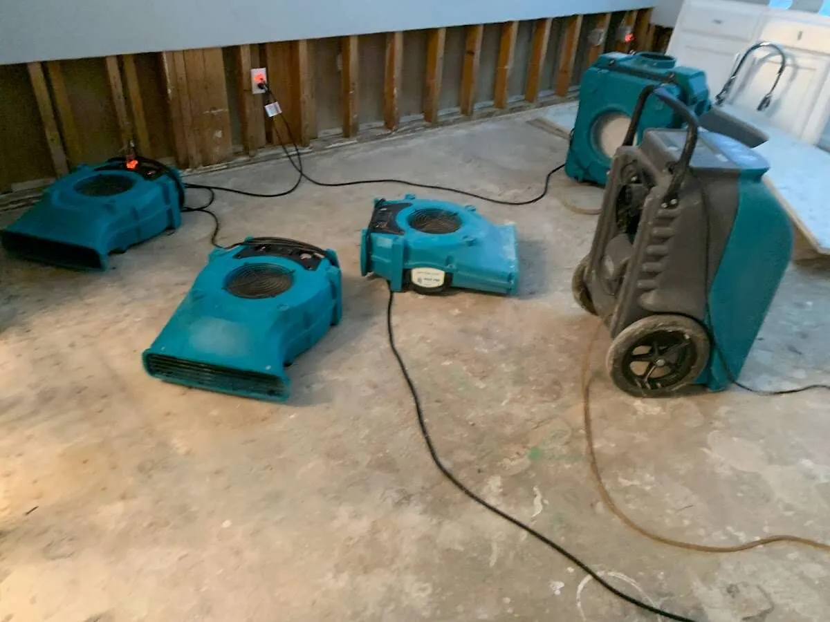 Mold Remediation & Removal in Vermilion, OH